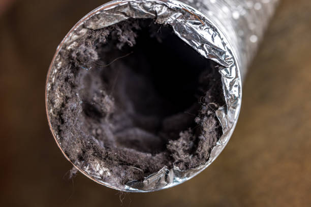 Best Air Duct Cleaning Near Me  in Valinda, CA
